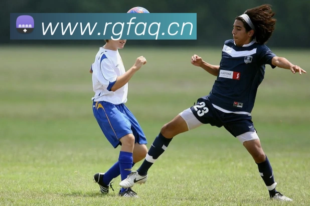 米兰在线官网平台生态图